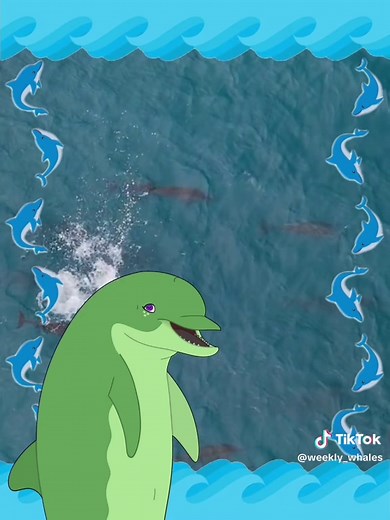 Dolphin Infanticide: Nature's Reproduction Strategy