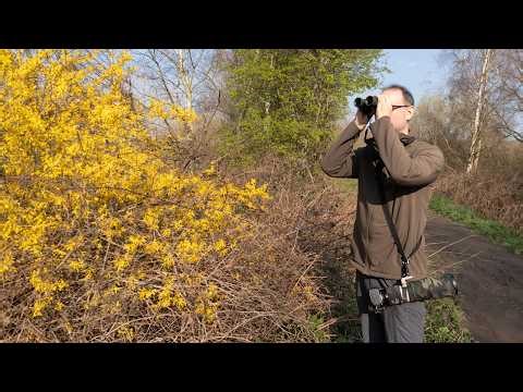 How I've Found Good Opportunities for Bird Photography this Spring