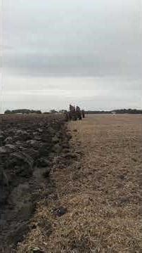 Farmalls plowing a tough field!