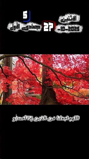 مع أنفاس هذا الصباح نسألك رزقًا واسعًا حلالًا طيبًا مباركًا 🌸