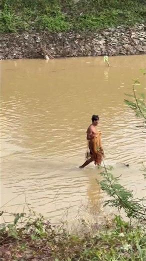 He's Casting the Net for Fish in Low-leveled River | Real Life in Rural Area