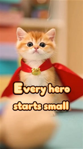 Every HERO starts small