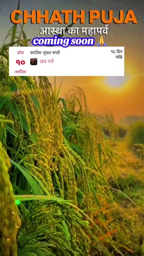 Celebrating Chhath Puja: Traditions and Rituals