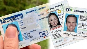 Real ID: Así puedes programar una cita en el DMV para tramitar el documento, paso a paso