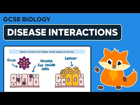 Disease Interactions - GCSE Biology