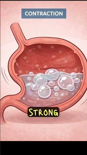 👉 Why Does Your Stomach Growl? 🤔