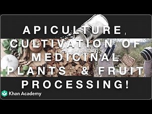 Apiculture | Cell Biology and Biotechnology | MH Grade 10 | Science | Khan Academy