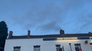 Finally got out at dusk to see the natural wonder of the Dunchurch Murmuration. If you haven’t seen it yet, it’s much better than my video… but hopefully you get the idea! | The Rugby Advertiser