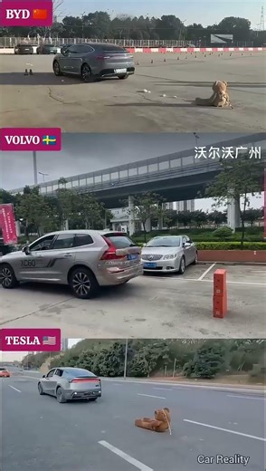 BYD vs Volvo vs Tesla 😳 Who Saves the Dummy?! SHOCKING Safety Test You Won’t Believe!