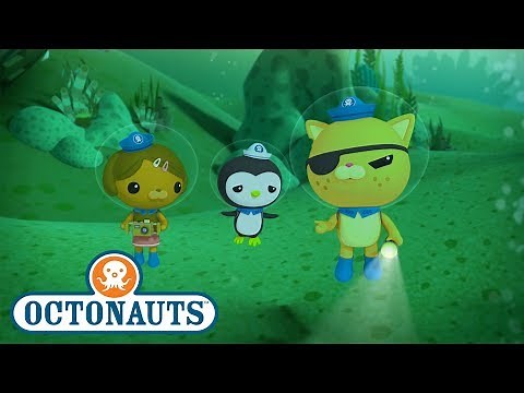 Octonauts - Treasure Map | Kwazii’s Adventures | Cartoons for Kids | Underwater Sea Education