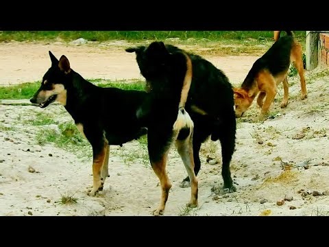 Love sweet life best time many style good lucky toto full time to hugs many style