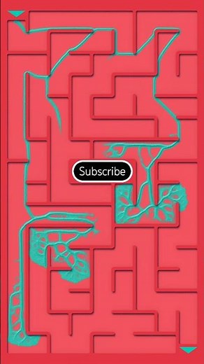 Satisfying Slime Maze Solving Simulation