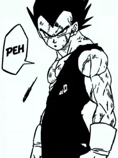 Prince Vegeta 🔥