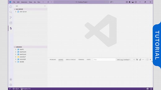 Programming - SAS Video Portal
