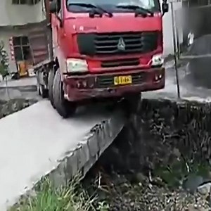 1.2M views · 9.9K shares | Professional truck driver with excellent driving skills Cr: Natural Wild | Natural Wild | Facebook