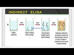 Serology and Immunology test