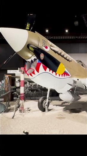 Curtiss P-40N Warhawk