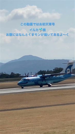 #熊本#熊本空港#天草#飛行機#着陸#イルカ#いいね#かわいい#キュン#
