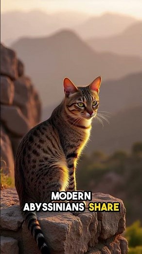 This Cat Hasn't Changed in 4,000 Years!