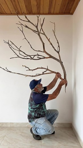 Living Room Decor from Branches and Tree Trunks