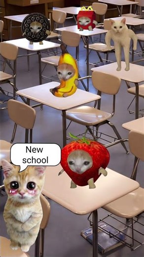 Baby Banana Cat & Elgato New School Day 🐱❤️ #catmemes #cat #shorts #fyp #bananacat