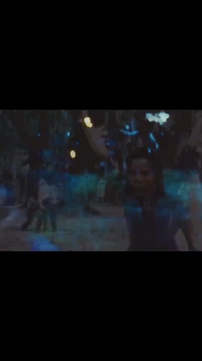 Django Unchained Whipping Punishment Scene