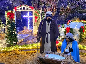 10K views · 449 reactions | It's Christmas time in the Smokies!  Please enjoy our final holiday tour of 2020 through Hidden Mountain Resort. And from our family to yours, we wish you a very blessed and Merry Christmas! ❤️❤️ PS This Christmas season booked quickly- It’s not too soon to reserve your dates for Christmas 2021! We love to celebrate the seasons with you all! 殺 hiddenmountain.com 865-453-9850 | Hidden Mountain Resort | Facebook