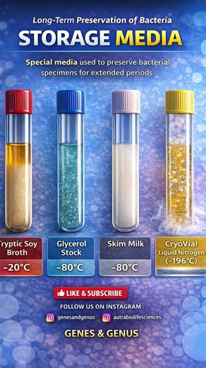 Microbiology students don't skip this- culture media - microbiology shorts