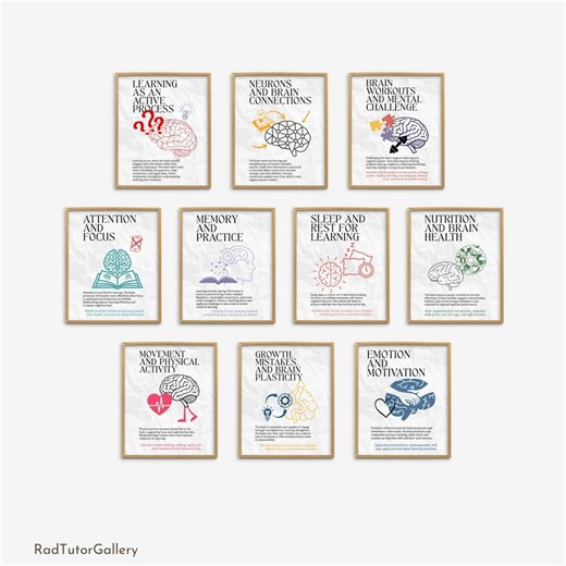How the Brain Learns, Brain Fun Facts Classroom Poster Set, Science Classroom Decor, Biology Class Posters, Fun Science, Middle High School - Etsy