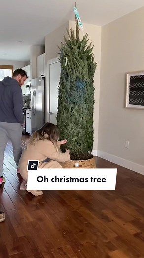 Team Real Tree: 16 Feet Tall Christmas Tree Decorating