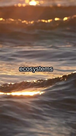 Colossal Sinkhole Discovered: Ocean's Hidden Secrets Revealed