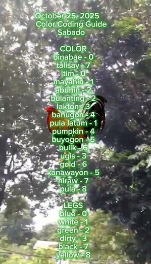 October 25,2025 color coding guide