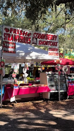 Strawberry Festival Day 2: A Crocheter's Delight