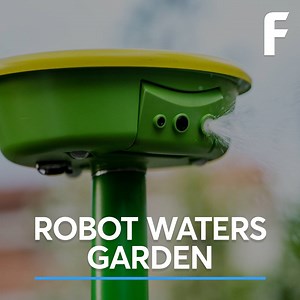 The bot monitors your garden, waters your plants, and chases off pests! | Futurism