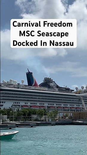 Carnival Freedom MSC Seascape in Nassau