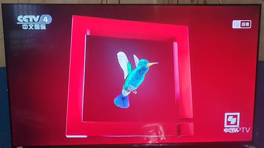 CCTV4罕见2016峰鸟ID（2025.12.31）