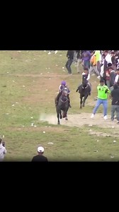 El caballo está bien 🐴👍🏻 el otro de verde 🚑💀🤣 . . . . . . . . . . . . . . . . . . . . . . . . . . . #meme #caballo #accidente #fail #humor #viral #reelsinstagram #funny #golpe #explore #fyp #parati #risas #trending | ManipulArte