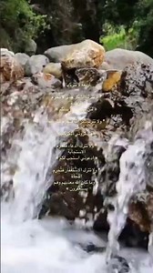 نور القرآن