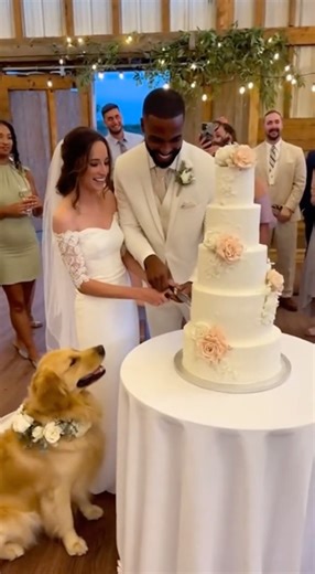 The Moment the Wedding Cake Died; Dog unexpected move 😱