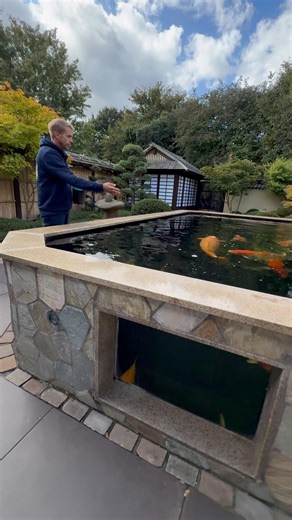 Jens 20.000l Koiteich im selbstgebauten Japangarten 😍🎋🎏
