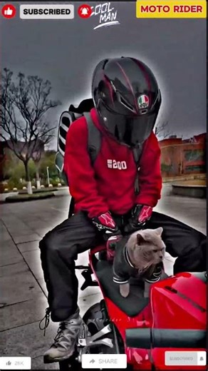 Ride smooth, vibes cute 🐾💖#rider #shorts #bike #trending #cat #youtubeshorts #bikelover