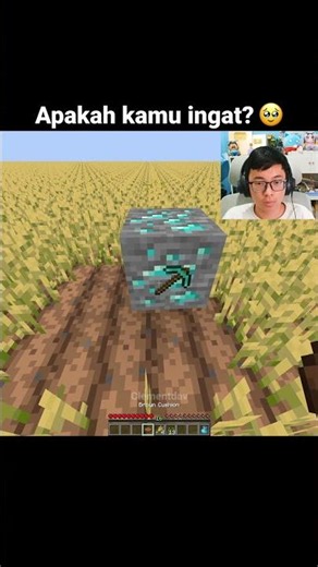 Momen Wallpaper Steve Minecraft