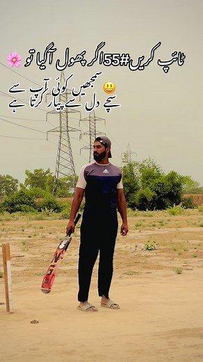 ٹائپ کریں #55 اگر پھول آگیا تو — سمجھیں کوئی آپ سے سچے دل سے پیار کرتا ہے