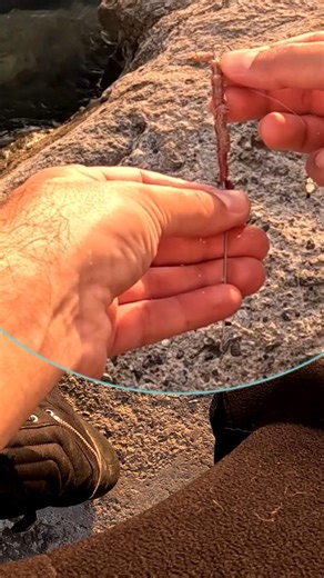 This Worm Trick Catches MORE Fish! 🐟