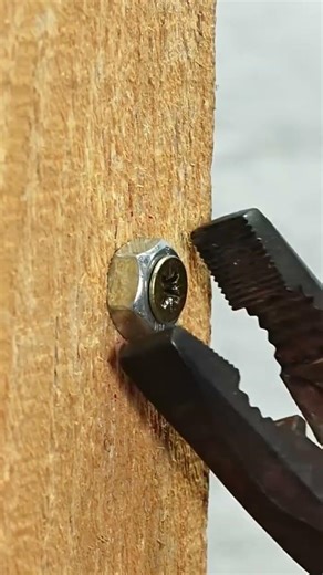 make a wall shelf easily using wooden planks #shortvideo