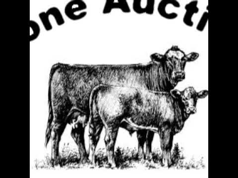 Gladstone Auction Mart Live Stream