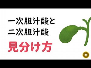 一次胆汁酸と二次胆汁酸の見分け方（覚え方）