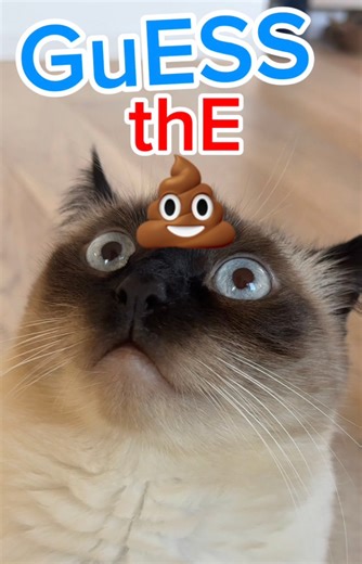 WAIT FOR IT 😂Merv tries to analyze her peepee and pooPoo just like the Petlibro LUMA does. How did she do? Code: MERV15 at https://bit.ly/489ezKW We love this machine 😍 | Merv The Cat