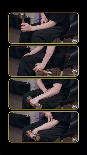 Укрепление лучезапястного сустава #реабилитация #тренировка #лучезапястный