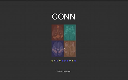 Resting state functional connectivity in CONN
